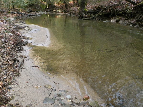 Chimney Top Creek - Koomer Ridge Trail - 3